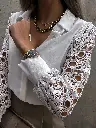 drxbw2kn.webp